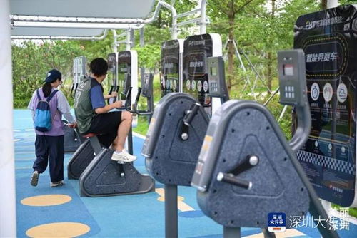 深圳的公园被演员彭于晏猛夸,网友 还得是 深圳特产
