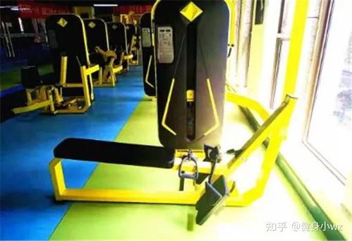 最全健身器材使用方法及锻炼肌群,快收藏